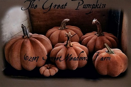 The Great Pumpkin - Perfect Sewing Pattern for Cloth Pumkins